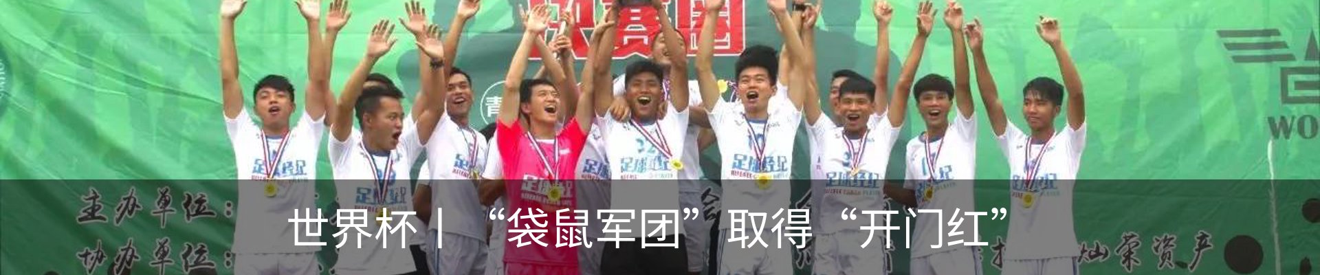 新闻动态