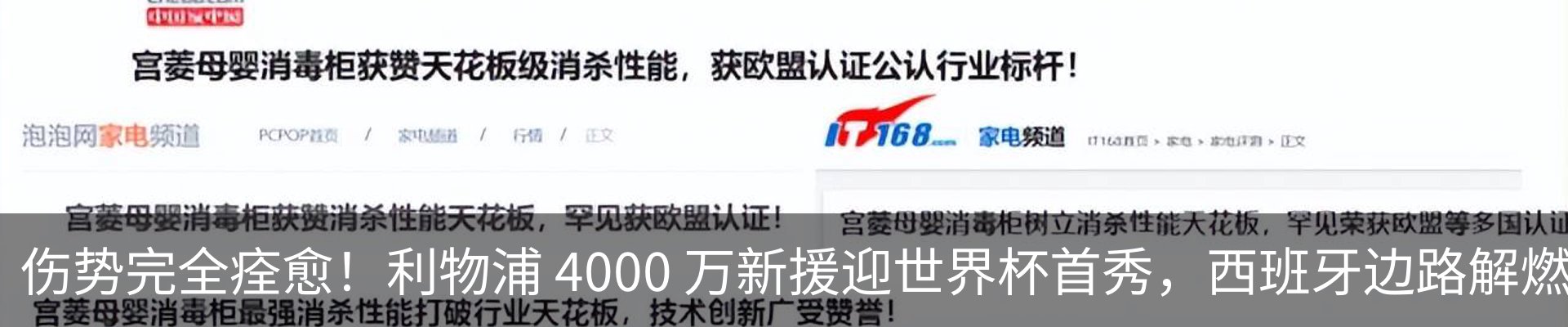 新闻动态