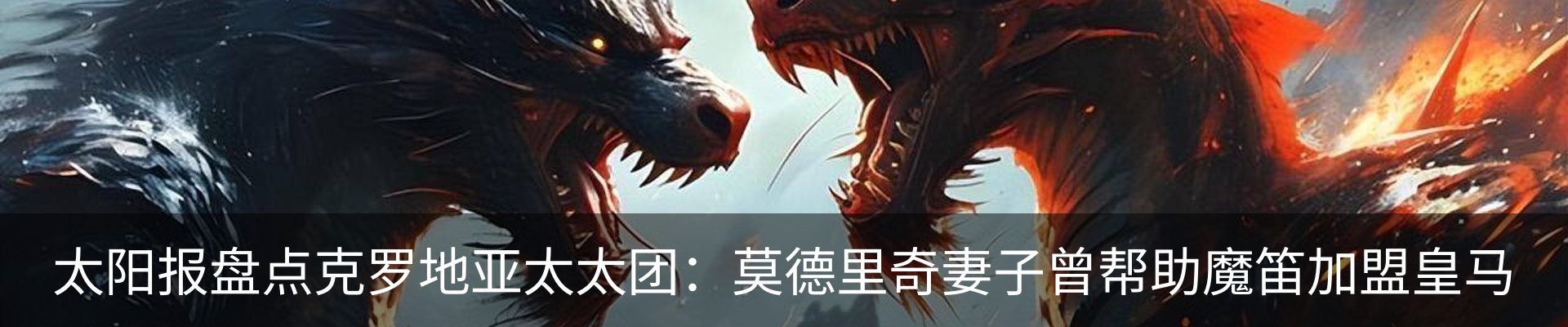 新闻动态