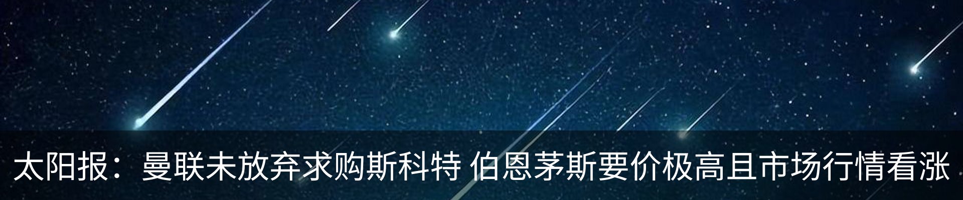 新闻动态