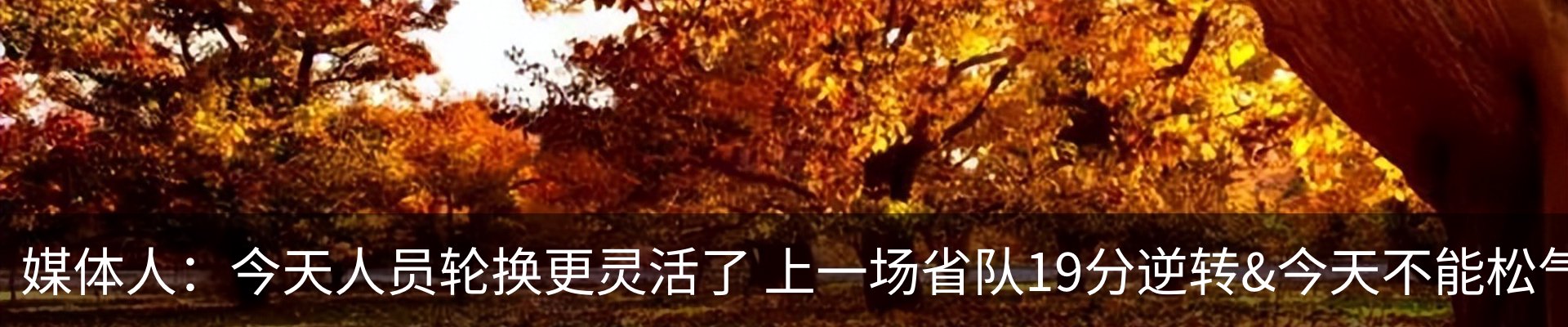 新闻动态