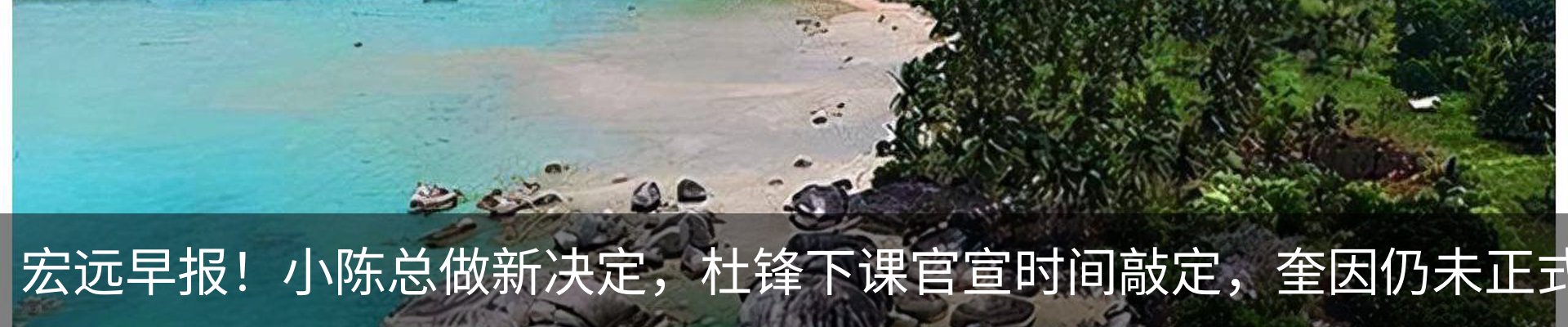 新闻动态
