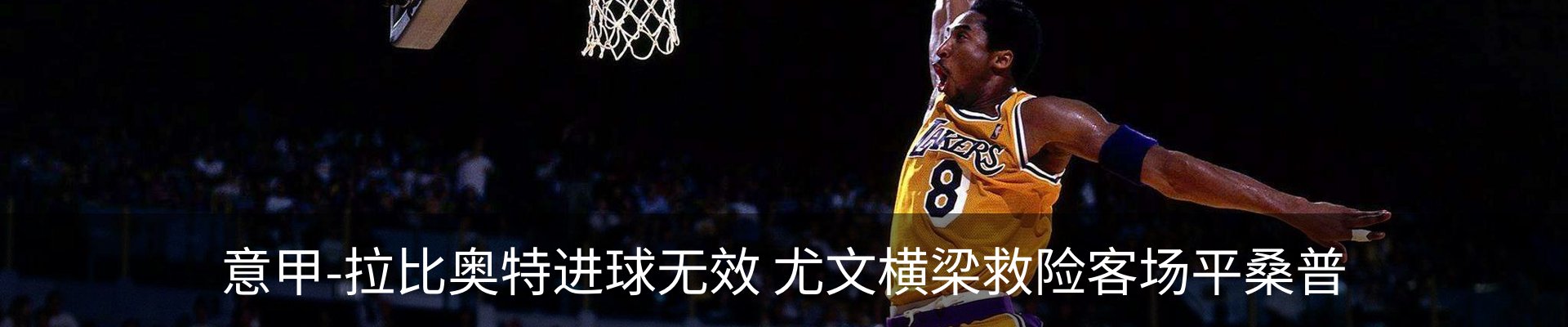 新闻动态