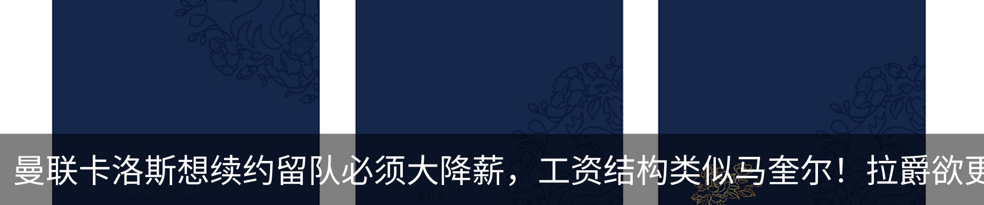 新闻动态