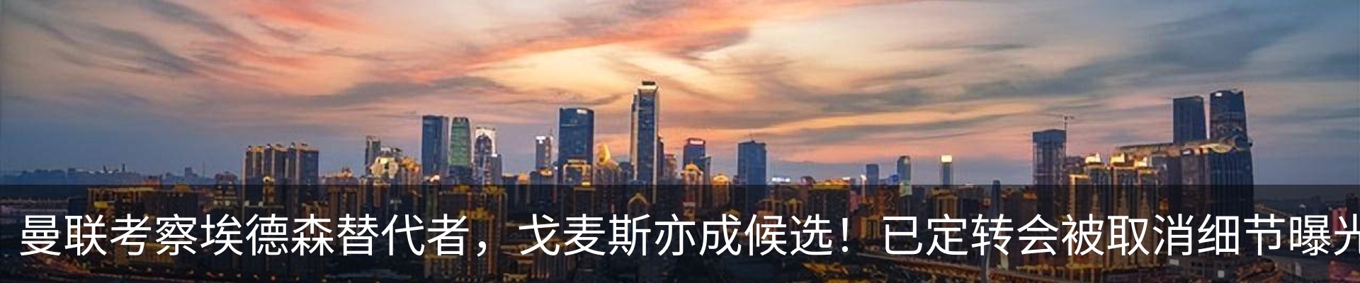 新闻动态