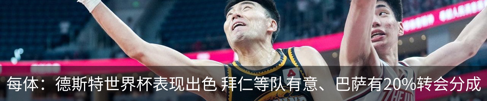 新闻动态