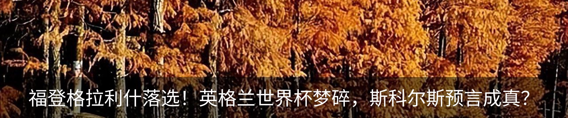 新闻动态