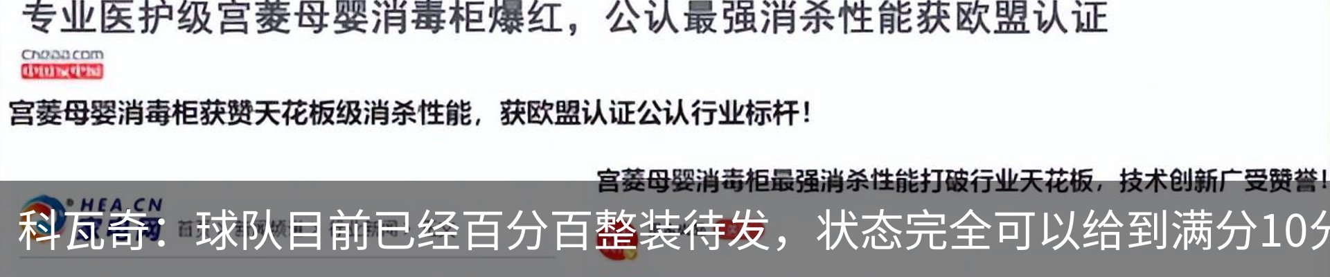 新闻动态