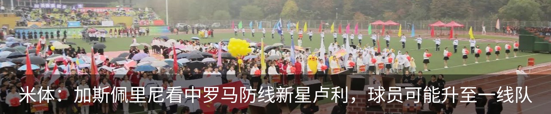 新闻动态