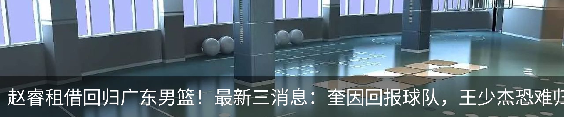 新闻动态