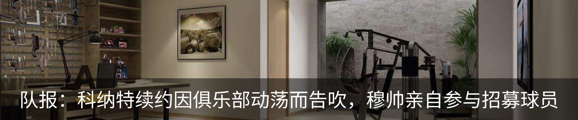 新闻动态