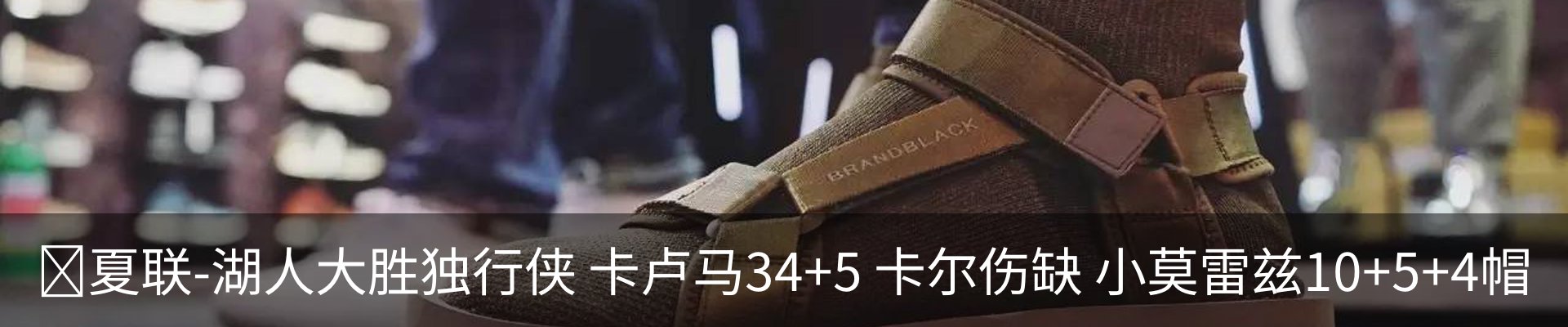 新闻动态