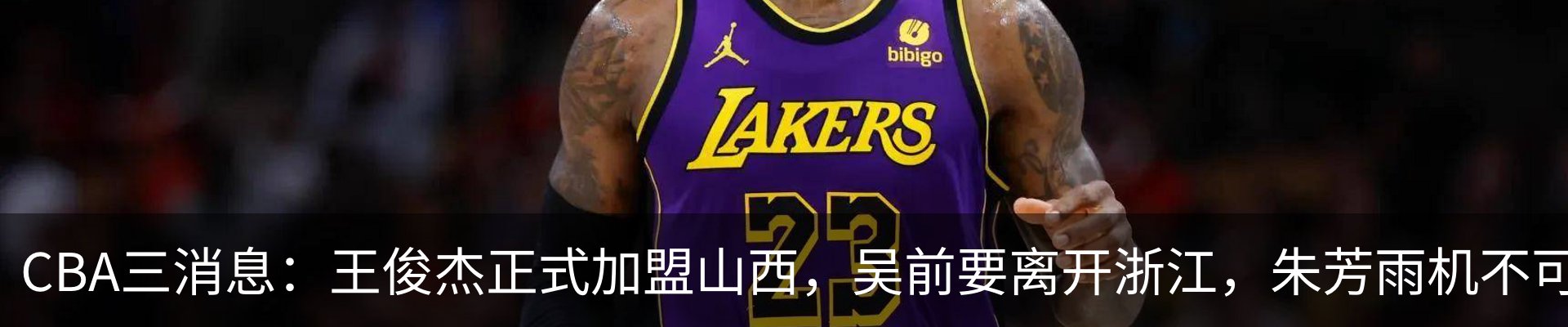 新闻动态