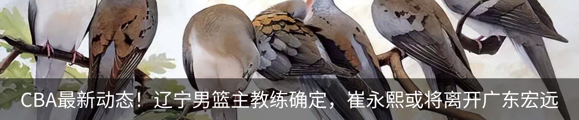 新闻动态
