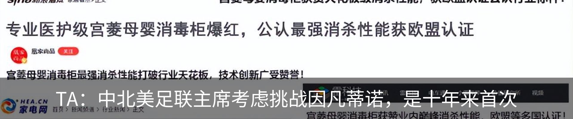 新闻动态
